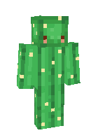 Скин minecraft для ника pangurbonB