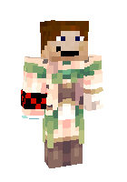 Скин minecraft для ника zsegon