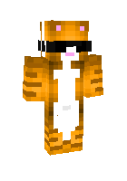 Скин minecraft для ника roefes